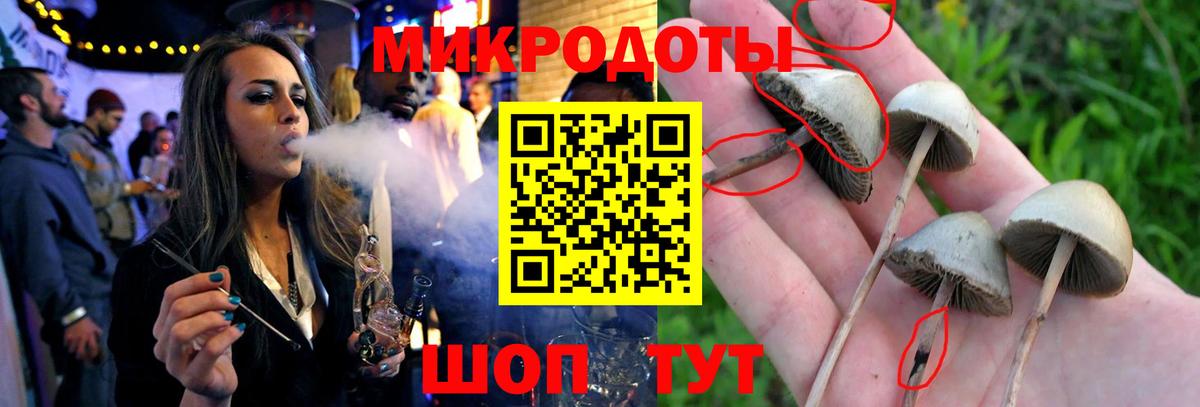Галлюциногенные грибы мицелий  купить  сайты  Полысаево  Вход с VPN 